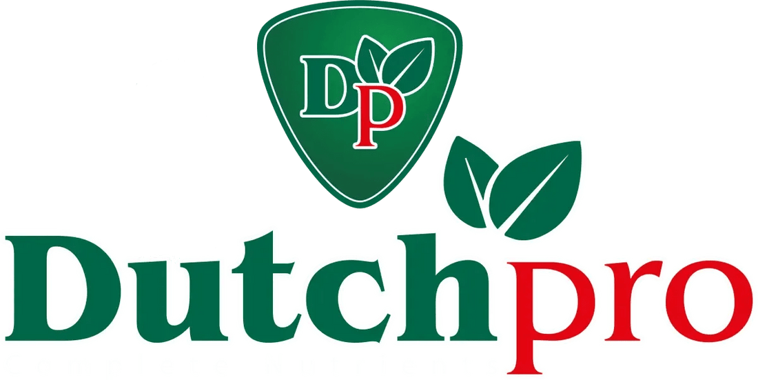 Dutchpro - GrowXL GmbH
