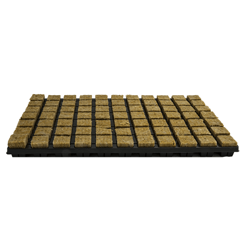 Cultiwool Anzuchttablett mit 77 Blöcken - GrowXL GmbH