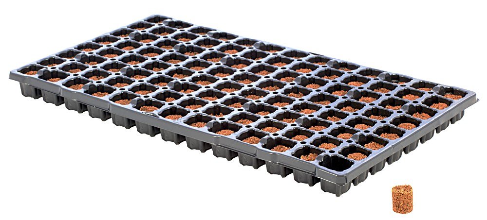 Eazy Plug mit 104 runde Fächer - GrowXL GmbH