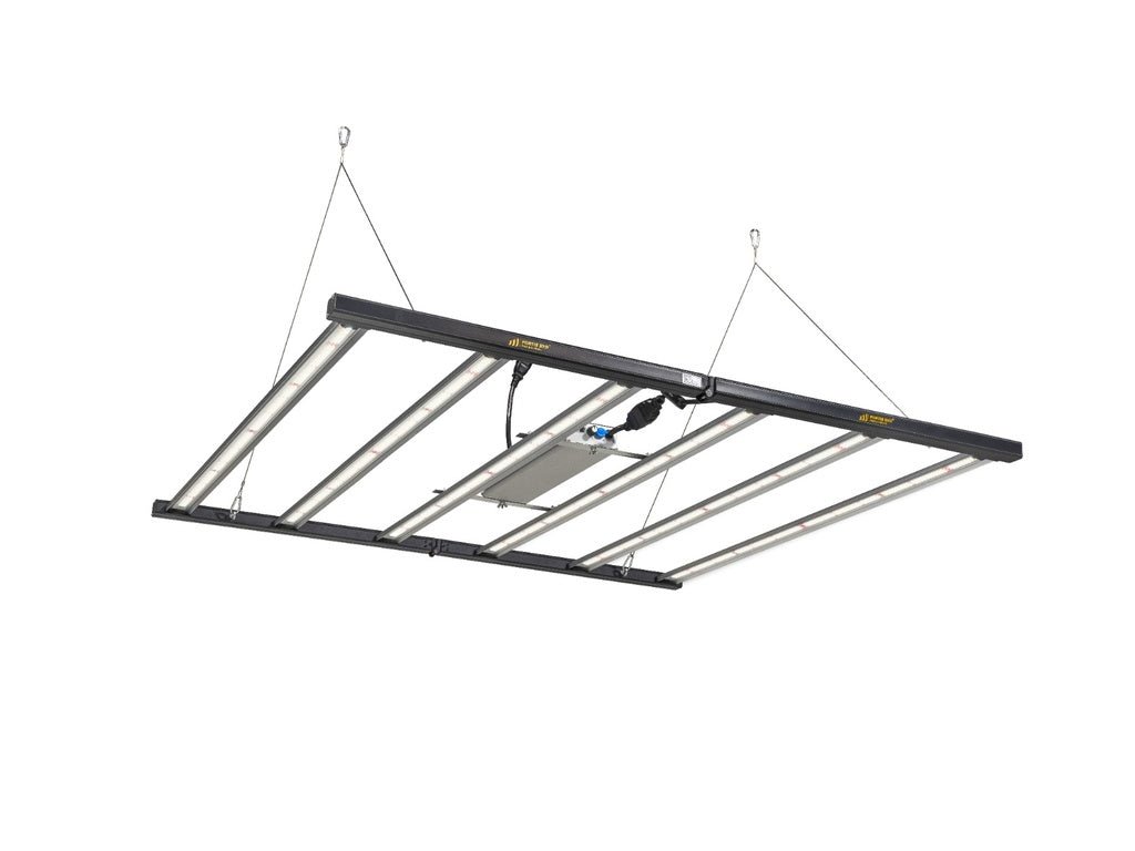 Fortis BYD LED 720W - GrowXL GmbH
