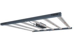 Platinum King LED 735W (inkl. elektronischem Vorschaltgerät) - GrowXL GmbH