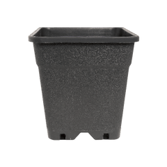 Quadratischer Topf mit Löchern 7L 20x20x25cm - GrowXL GmbH