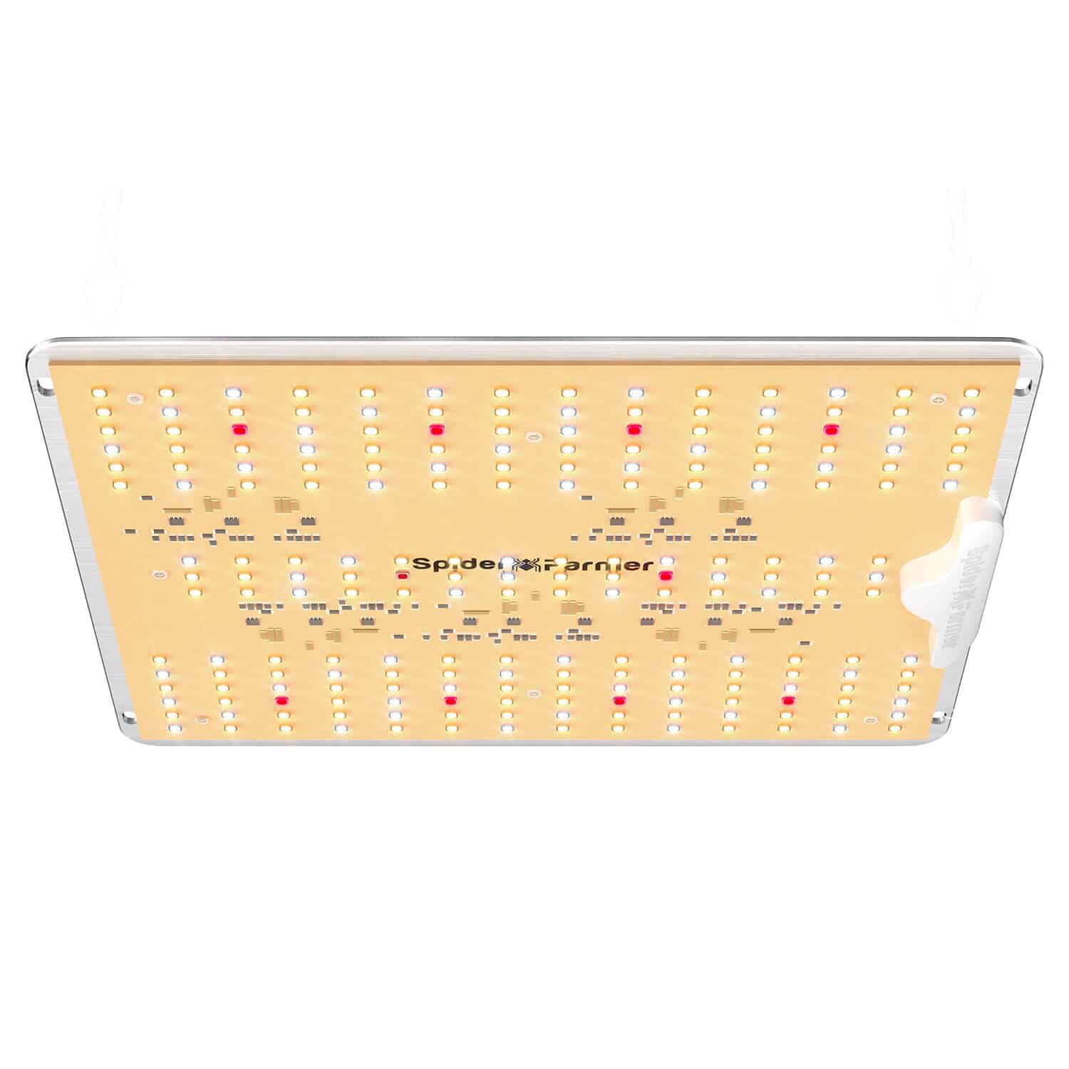 Spider Farmer® SF1000D 100W Full Spectrum LED Grow Lampe Samsung Diodes (Neueste Version 2024) - GrowXL GmbH