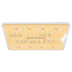 Spider Farmer® SF1000D 100W Full Spectrum LED Grow Lampe Samsung Diodes (Neueste Version 2024) - GrowXL GmbH