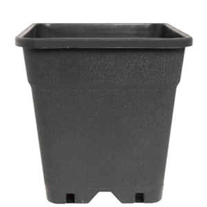 Topf quadratisch 25L 33x33x35cm - GrowXL GmbH