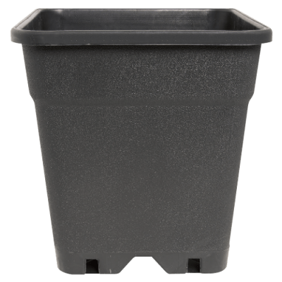 Topf quadratisch 30L 37x37x37cm - GrowXL GmbH