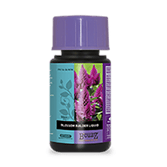 Atami B'Cuzz Blossom Builder Liquid 100ml - GrowXL GmbH