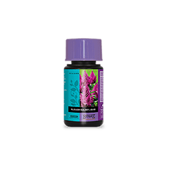 Atami B'Cuzz Blossom Builder Liquid 50ml - GrowXL GmbH
