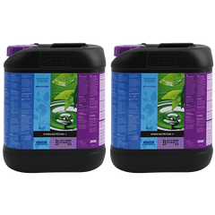 Atami B'Cuzz Hydro A+B 5L - GrowXL GmbH