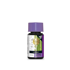 Atami B'Cuzz Silic Boost 50ml - GrowXL GmbH
