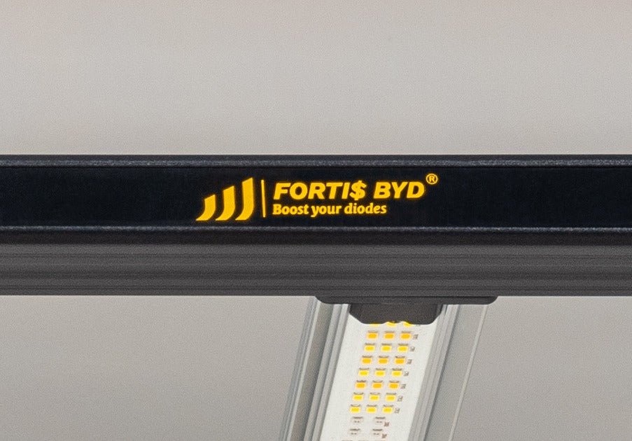Fortis BYD LED 720W - GrowXL GmbH