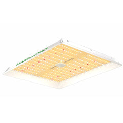 Mars Hydro TS 1000 150W Full Spectrum - GrowXL GmbH
