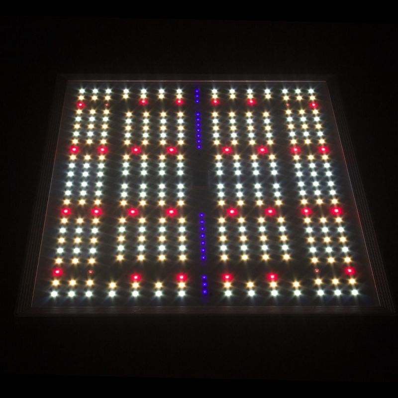 Nanolux RG150 LED Quantumboard/Growlampe - GrowXL GmbH