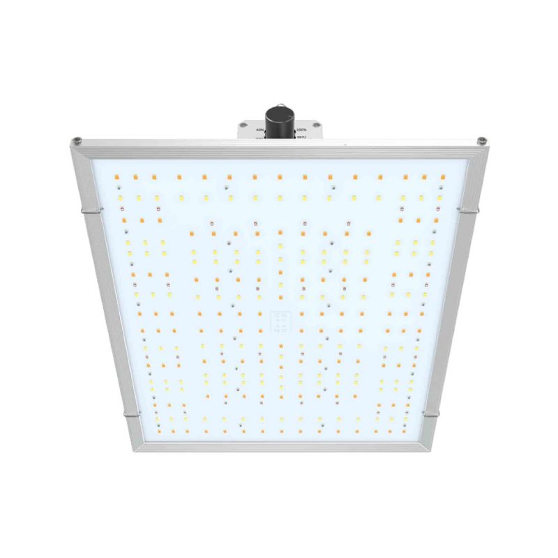 Nanolux RG150 LED Quantumboard/Growlampe - GrowXL GmbH