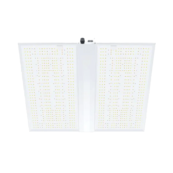 Nanolux RG480 LED Quantumboard/Growlampe - GrowXL GmbH