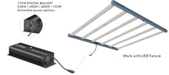 Platinum King LED 735W (inkl. elektronischem Vorschaltgerät) - GrowXL GmbH