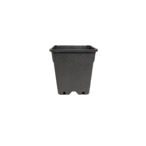Quadratischer Topf mit Löchern 1L 10,3x10,3x13,7cm - GrowXL GmbH