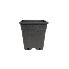 Quadratischer Topf mit Löchern 2L 13x13x17,3cm - GrowXL GmbH