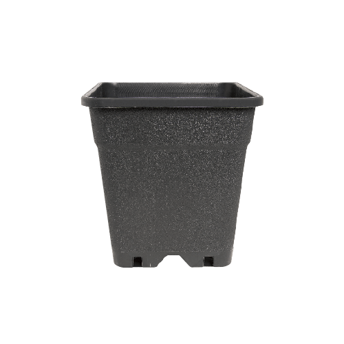 Quadratischer Topf mit Löchern 3,5L 15x15x20cm - GrowXL GmbH