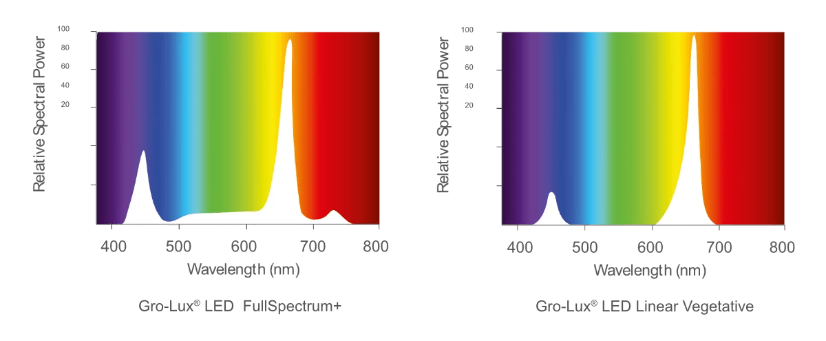 Sylvania Gro - Lux LED Linear 420W Growlampe - GrowXL GmbH