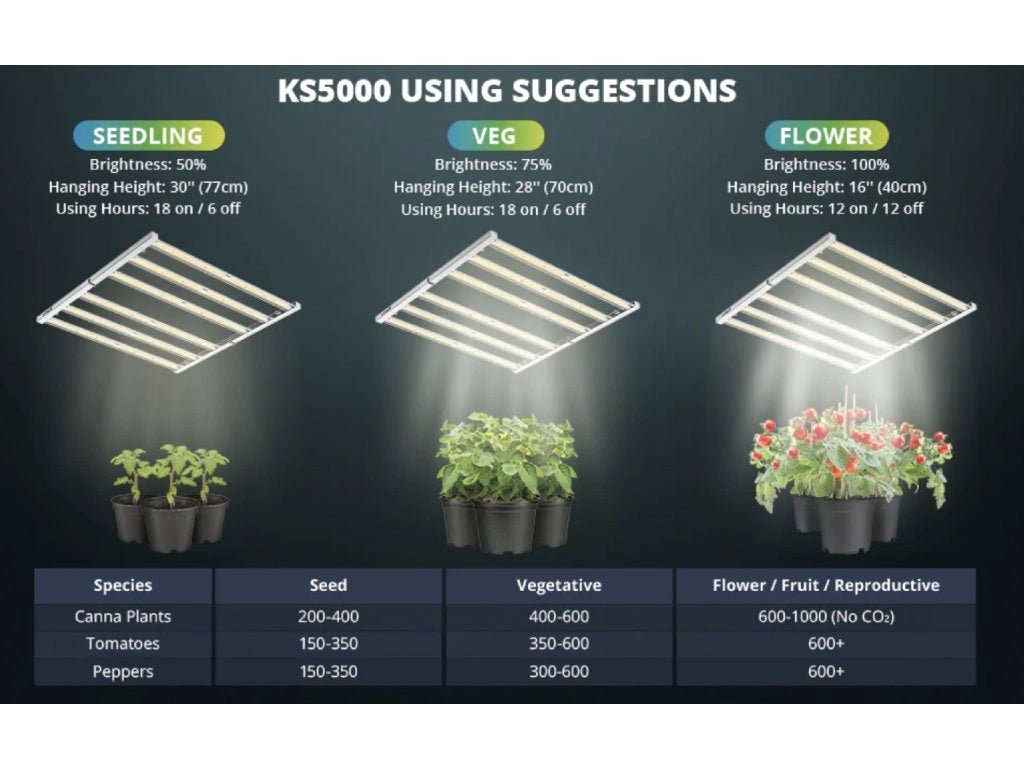 Viparspectra KS5000 LED 500 watts, 1260 diodes, Samsung LM301H, Dimmable, daisy chain, 3 m cable - GrowXL GmbH